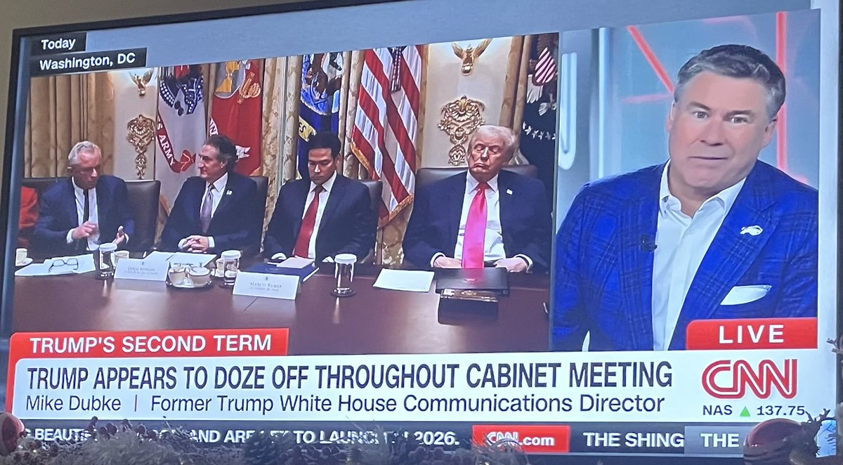 Sleepy Joe.  Oh wait it’s Orange piggy.
