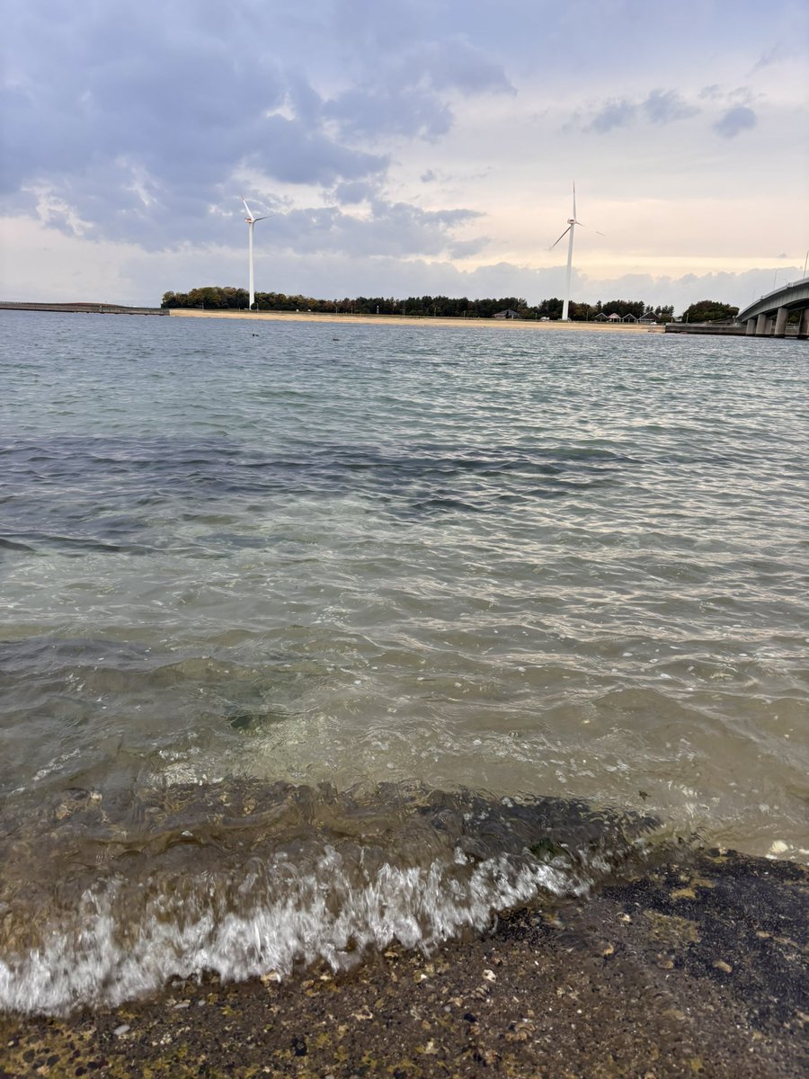 今朝の新舞子の海は
とても透き通ってて
憂鬱な気持ちを
少し軽くしてくれた
#新舞子海岸
#おはようございます