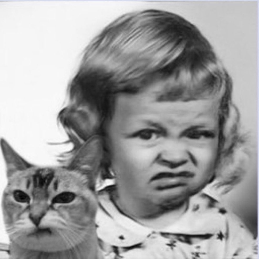 “Salmonella Duchess”…😏
I just want to point out that ALL the backlash Meghan has ever faced and continue to face over the years, has been from her own making. There are no backlashes on Meghan that have ever happened because of someone else.
    No, Meg is the sole engineer and