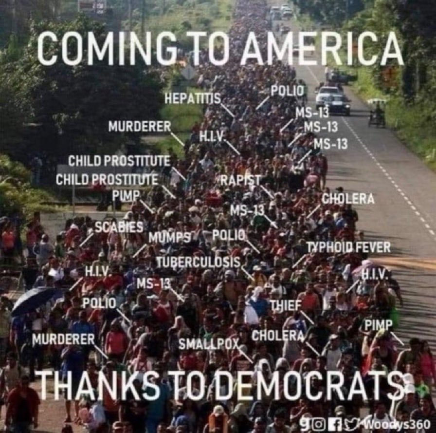 SheIsSealed!🙏 tweet media