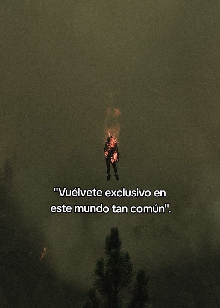 BANDIDOS (@bandidosfrasess) on Twitter photo 