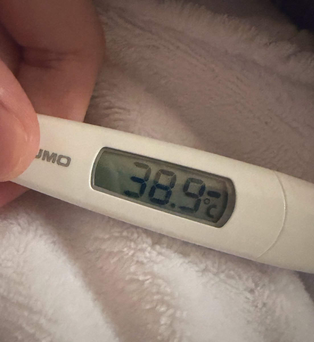 おはようございます