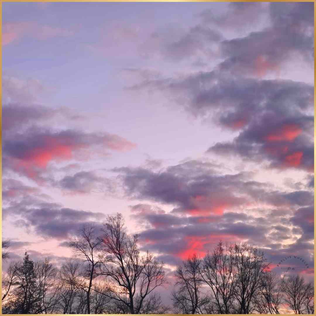 joyful_progress's tweet image. God blessed me with this amazing sunset tonight.

Hope it makes you smile.

Joyful wishes to you!