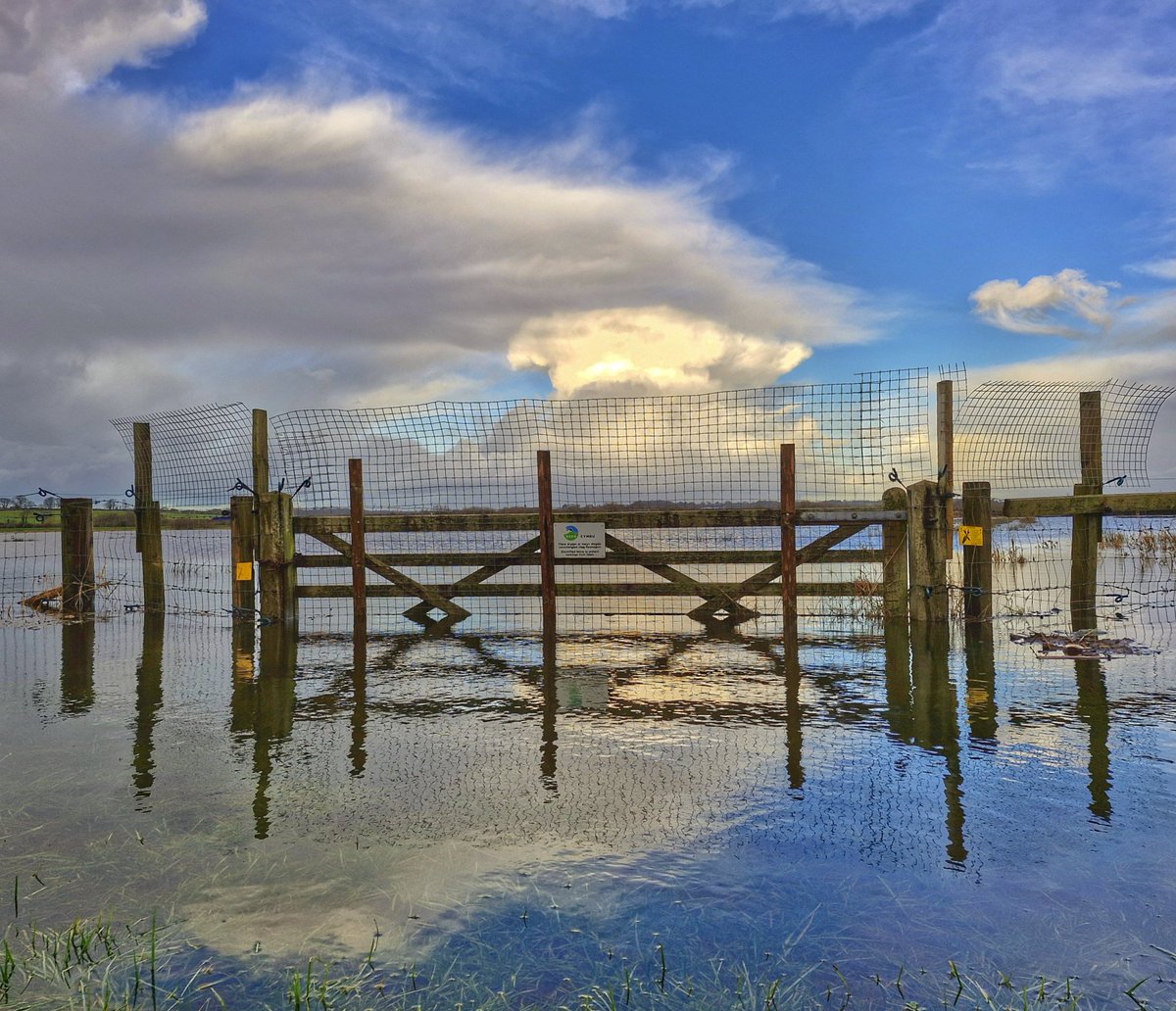 Anthony Ward tweet media