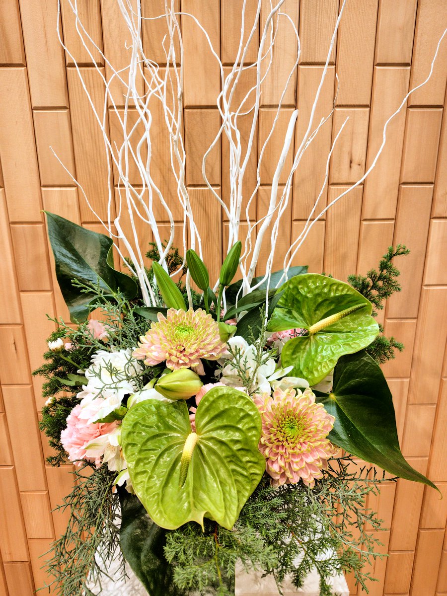 おはようございます☀️
いよいよ今年も残すところ1ヶ月をきりました！
暖かくなったり寒くなったりと体調を崩しやすい気候ですので気をつけて過ごしたいですね😊