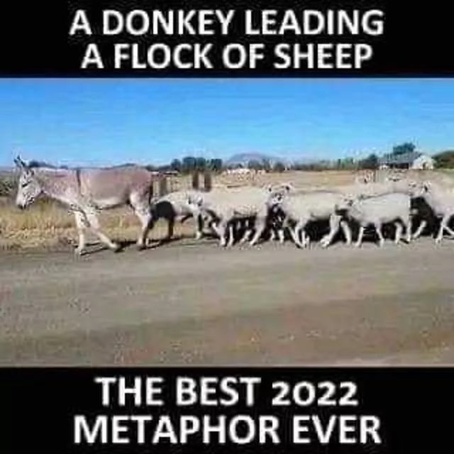 attackdogX's tweet image. 