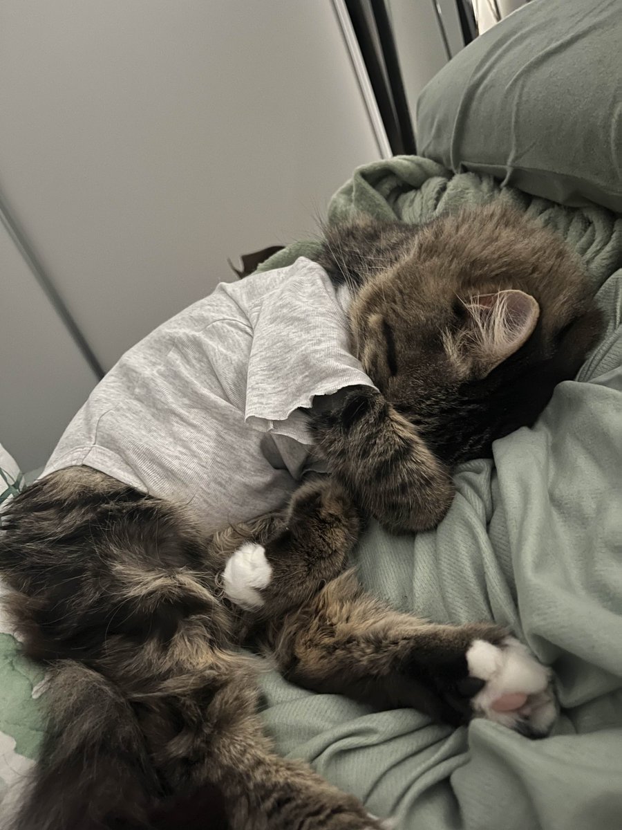 𝕹𝖎𝖌𝖍𝖙 𝕸𝖆𝖊𝖗𝖎𝖊 🌌🤍 tweet media