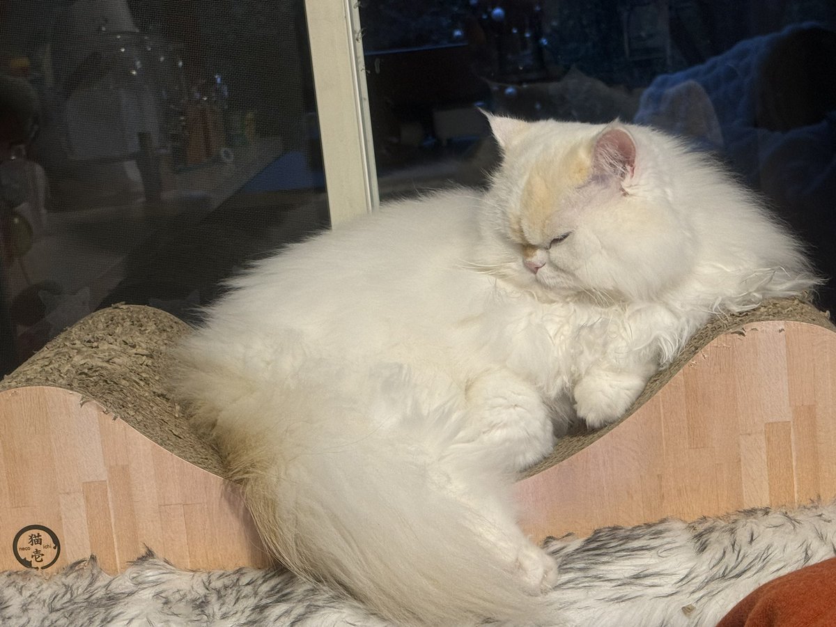 おはようございます☀
今日からまた寒くなるようで😨体調管理気をつけて〜🤧

で、今朝は余裕のスタートです🙆

久々に弁当持参👍
７時前で、まだ外が暗いニァ😺