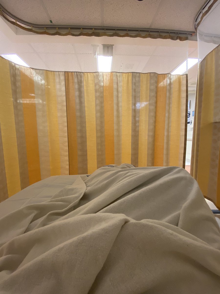 emilia | edtwt^_^ tweet media