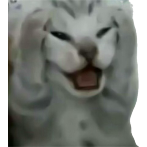 Cada que veo q todos están de viaje me da tanto fomo de vrdddd yo quiero estar ahí