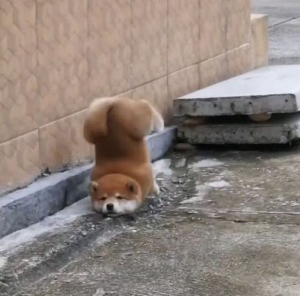 すってんころりん