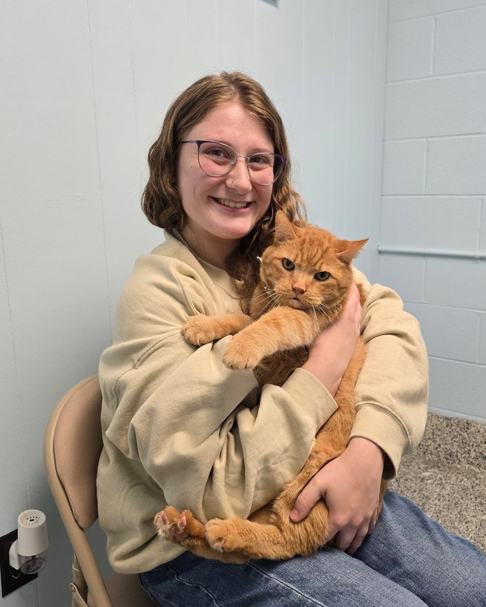 Lake Humane Society tweet media