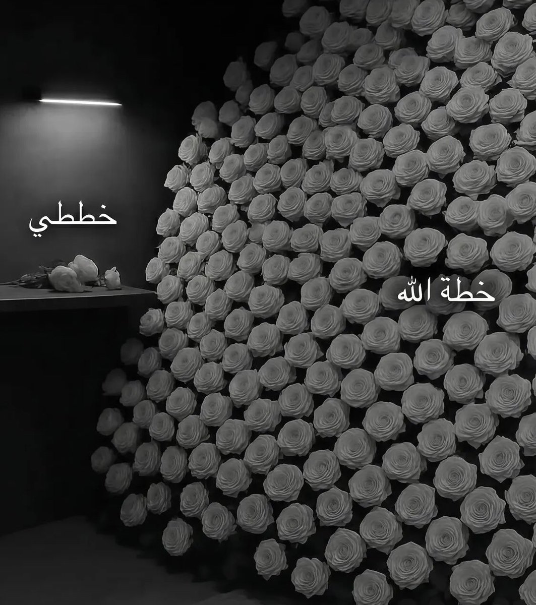 ﴿ وَاللَّهُ يَعْلَمُ وَأَنتُمْ لَا تَعْلَمُونَ ﴾
— البقرة ٢١٦.