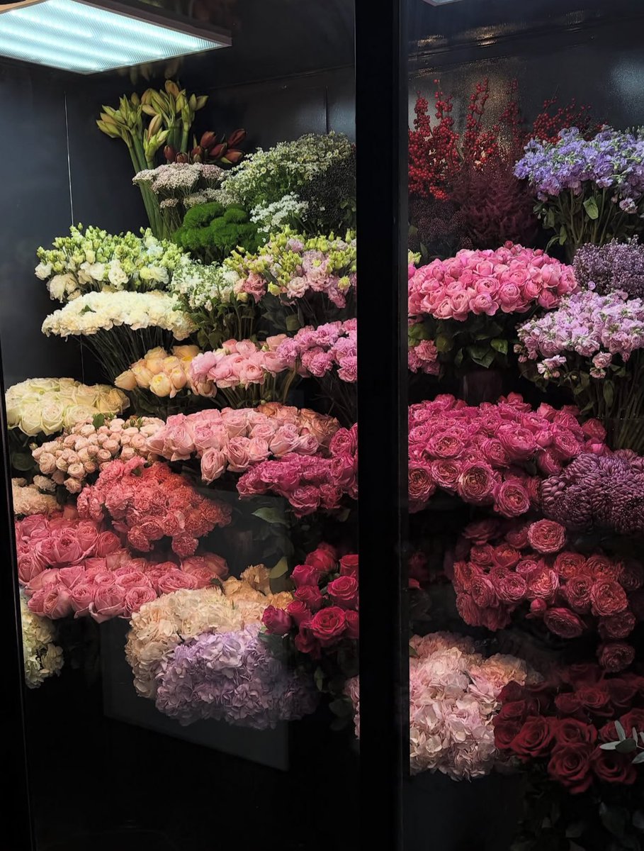 1leio's tweet image. 