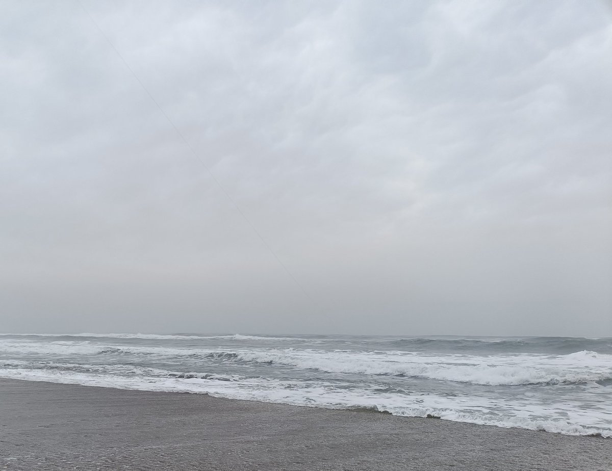 朝練#48終了、ホゲ😩
曇り、無風、波荒れ気味、鳥は沖を通過。シーバス期待するもPNBで終了。