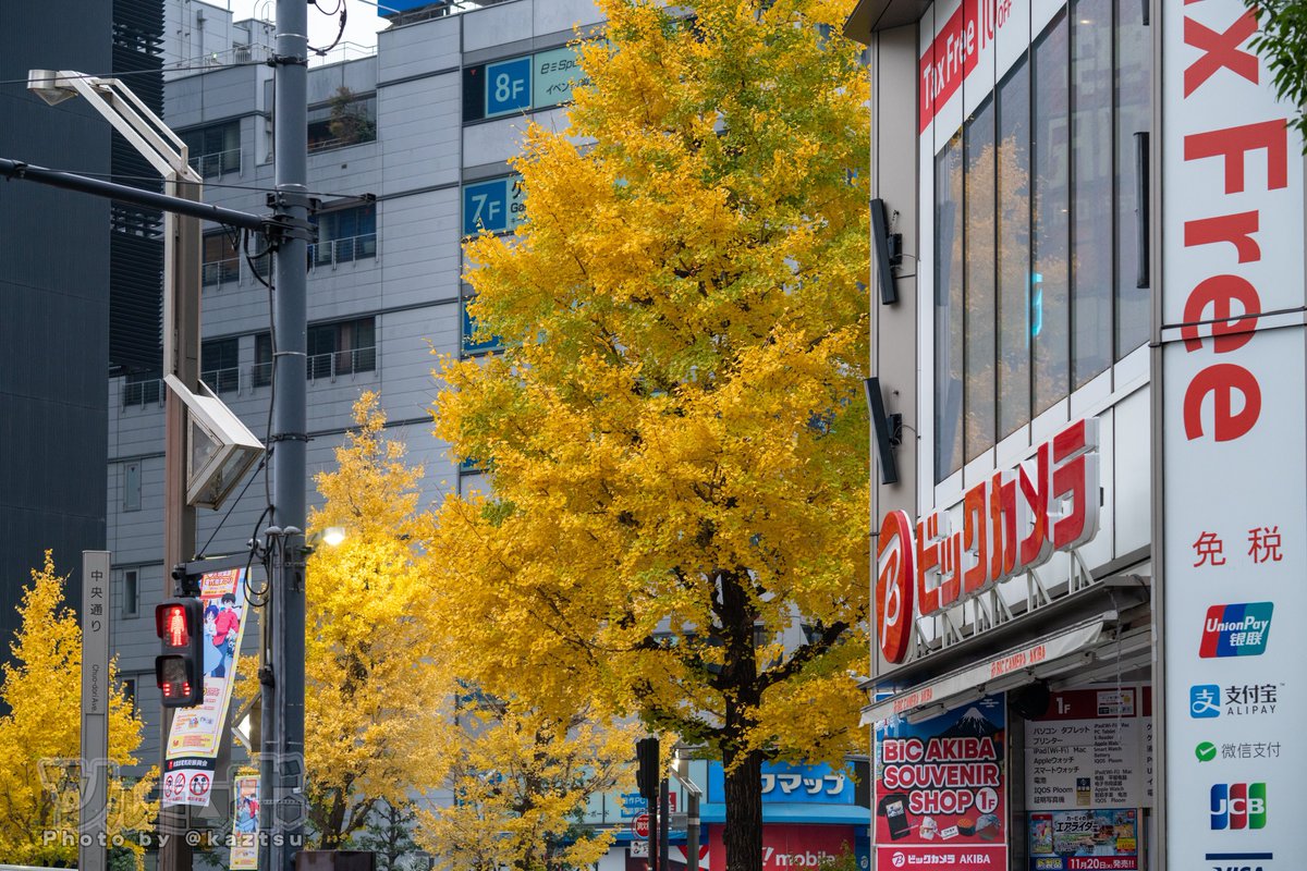 KeI. (@kei_fragments) / Posts / X