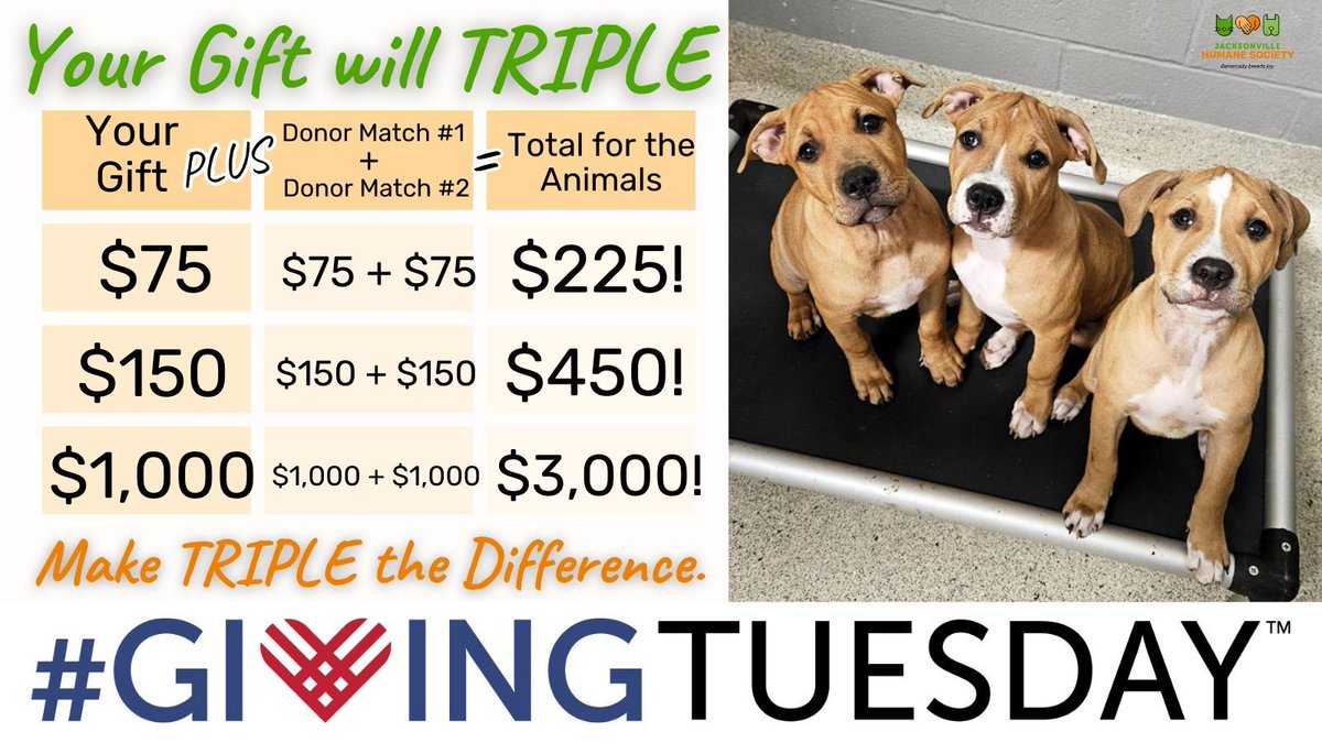 Jax Humane Society tweet media