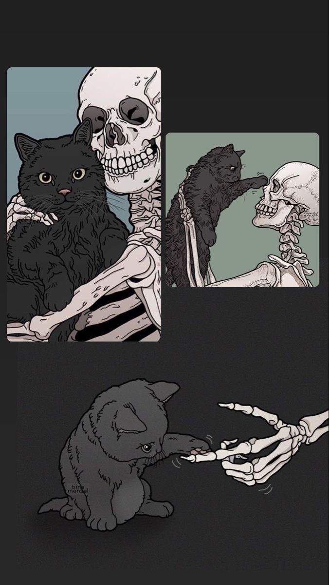 blackdreamvibes's tweet image. 