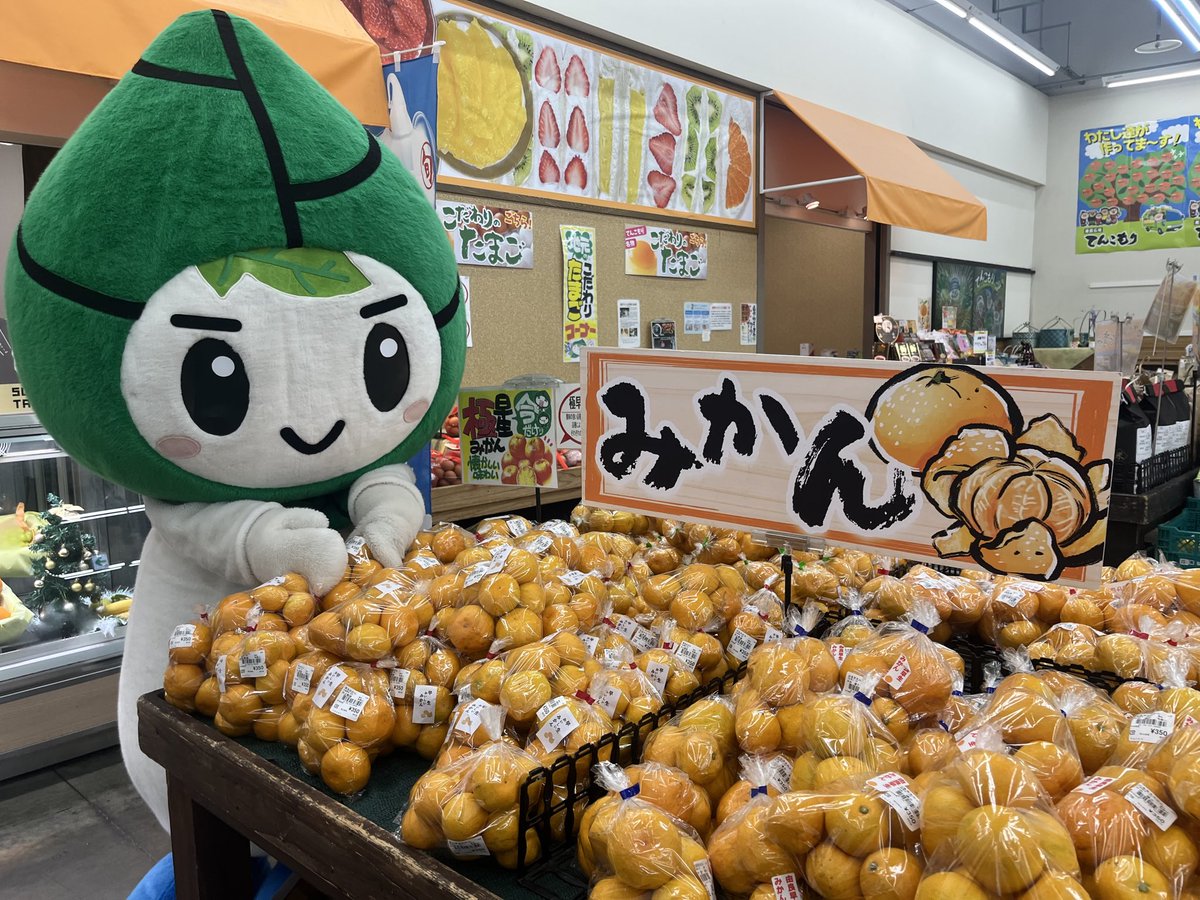 今年もこたつにみかんの季節がやってまいりましたー☃️
今はこたつはないけどみかんは買うよと言う方のほうが多いですかね🙄🍊  #和歌山 #エバグリーン #マスコットキャラクター #ご当地キャラ #みかんの日