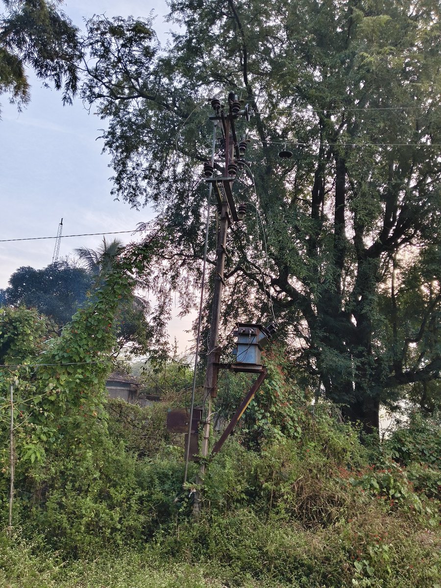 Pintu chetty tweet media