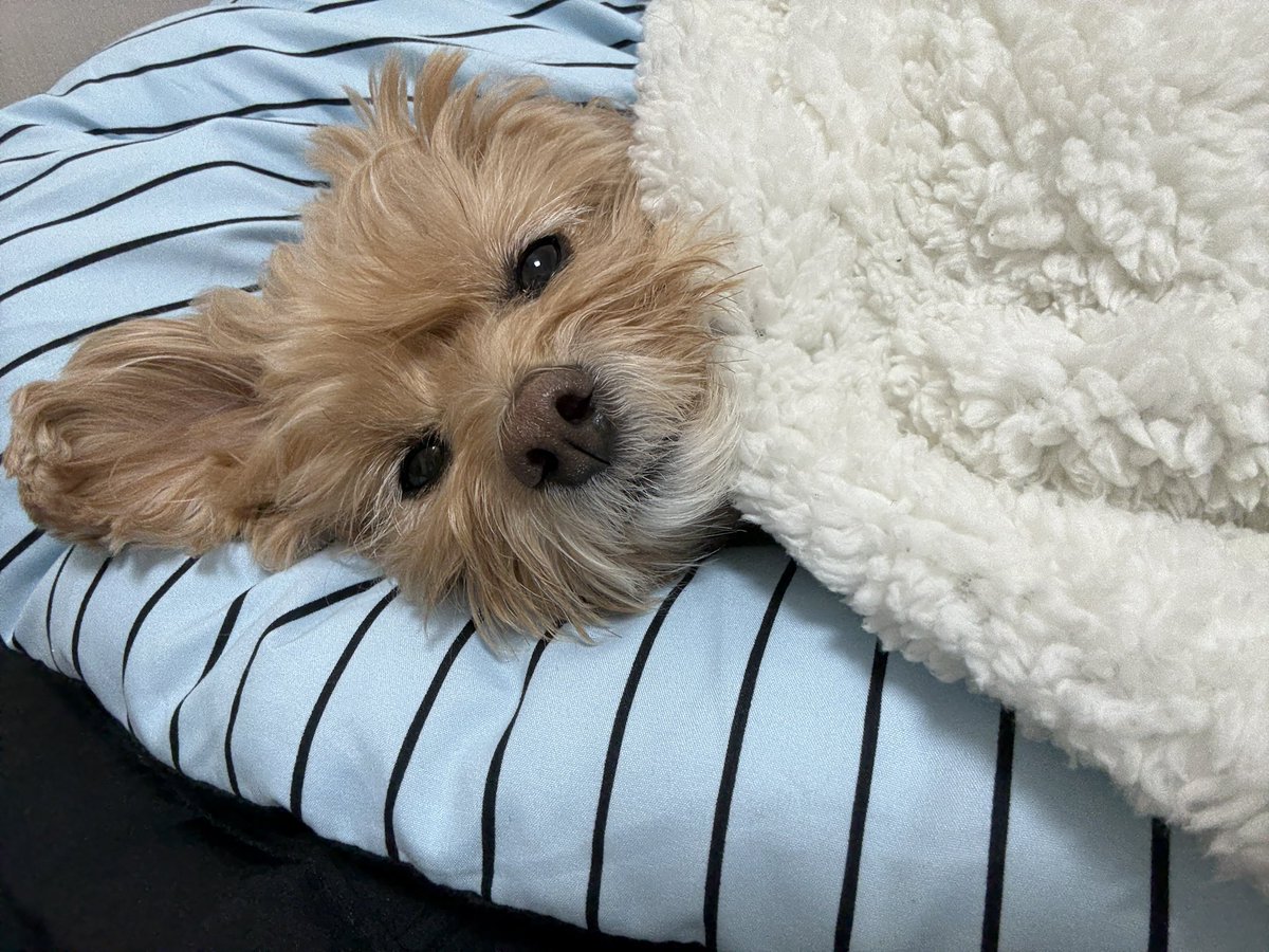 glass0603's tweet image. 정말 행복한거같음ㅋㅋㅋㅋ