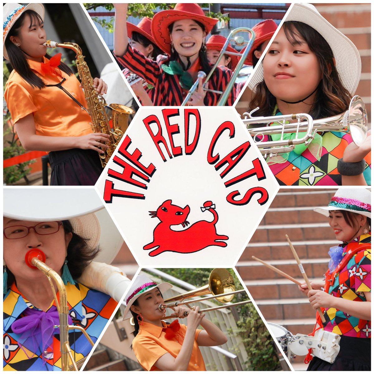 THE RED CATS tweet media