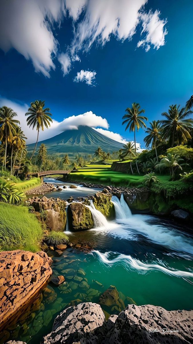 Good morning X Fam 💓 
Happy wednesday to all creators. 💖💖