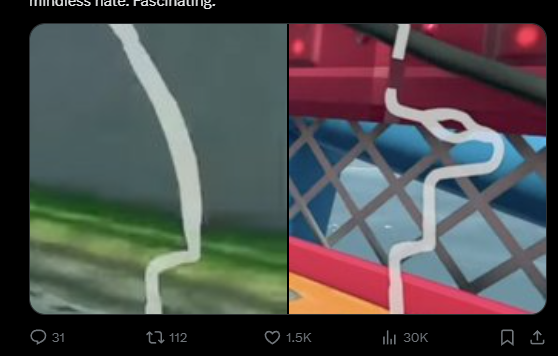 Smuggles tweet media