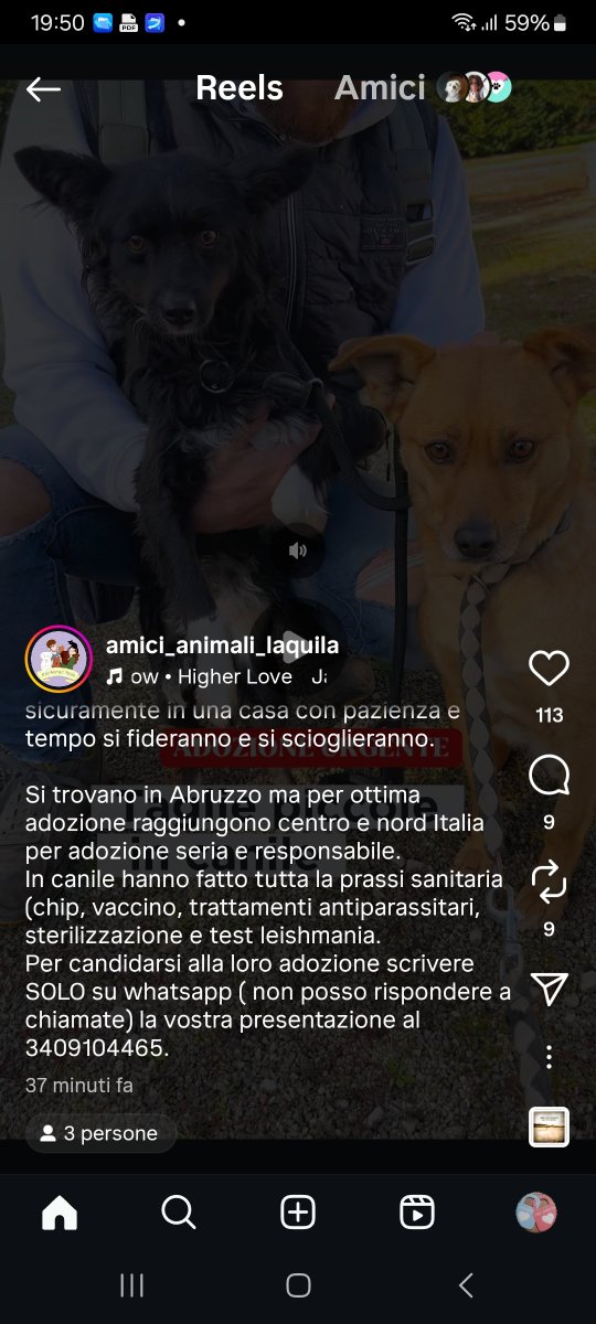 annina_cutillo's tweet image. 