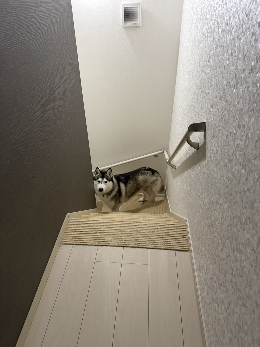 Genie(ジーニー) (@Genie_0213) / Posts / X