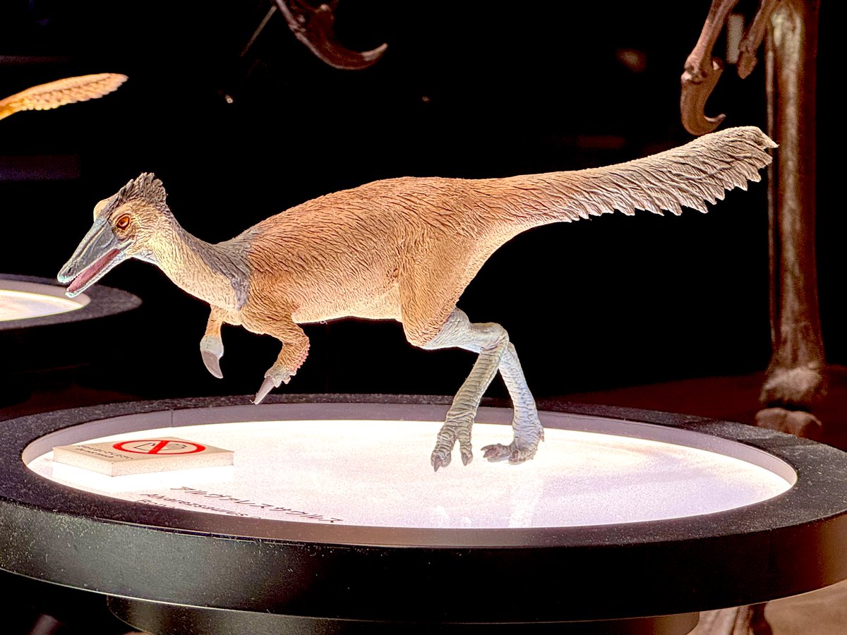 荒木一成 恐竜工房 (@araki_kazuyan) / Posts / X