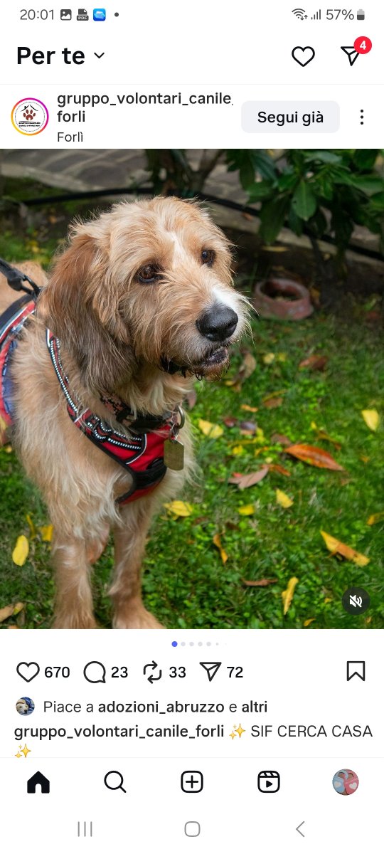 annina_cutillo's tweet image. 