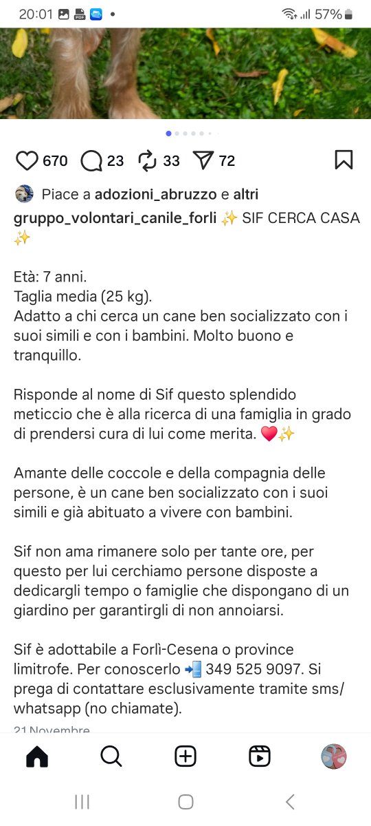 annina_cutillo's tweet image. 