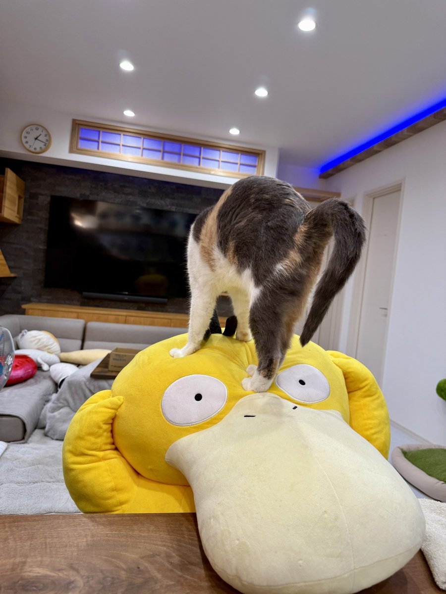 カーテンのフックみたいなシッポですね