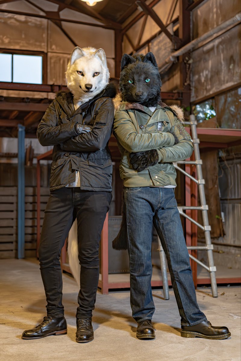 みかん犬🍊🍊 (@tag7master) / Posts / X