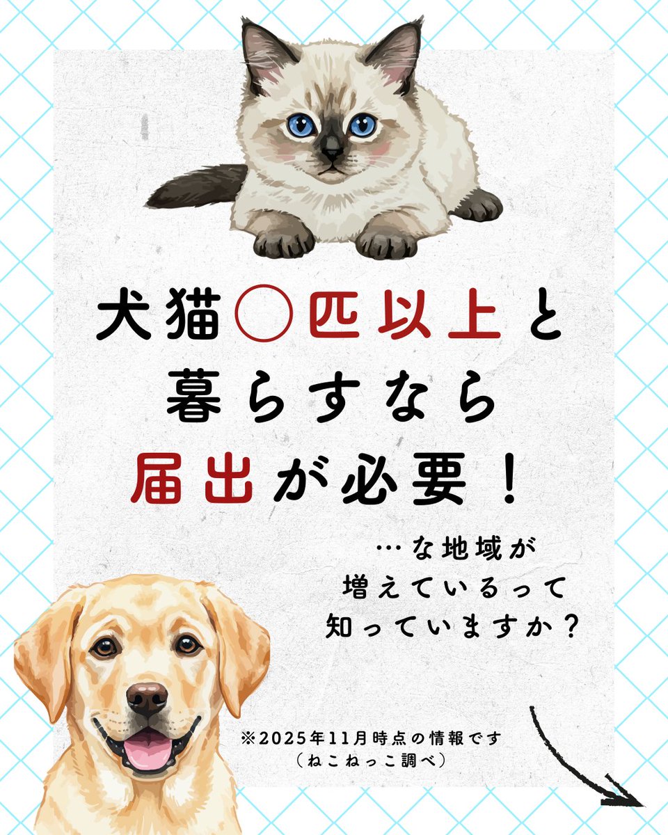 ねこといぬページ Amazon.co.jp: ねこと いぬ 300 (げんきスーパーかんさつ絵本 19