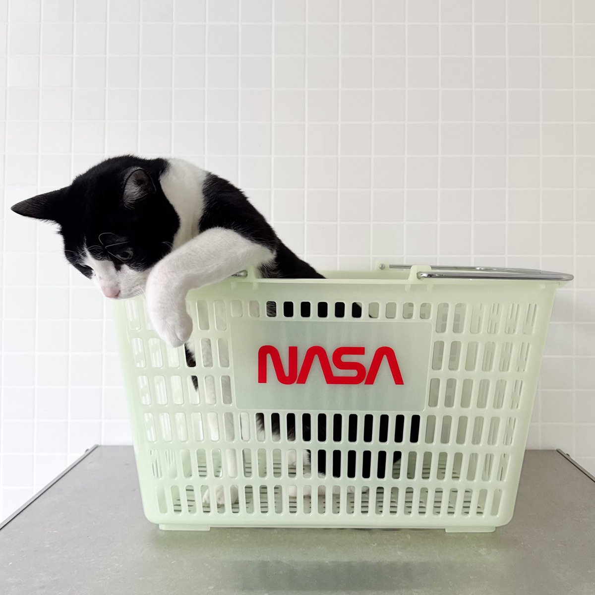 sakurako (@sakurakoikw) / Posts / X