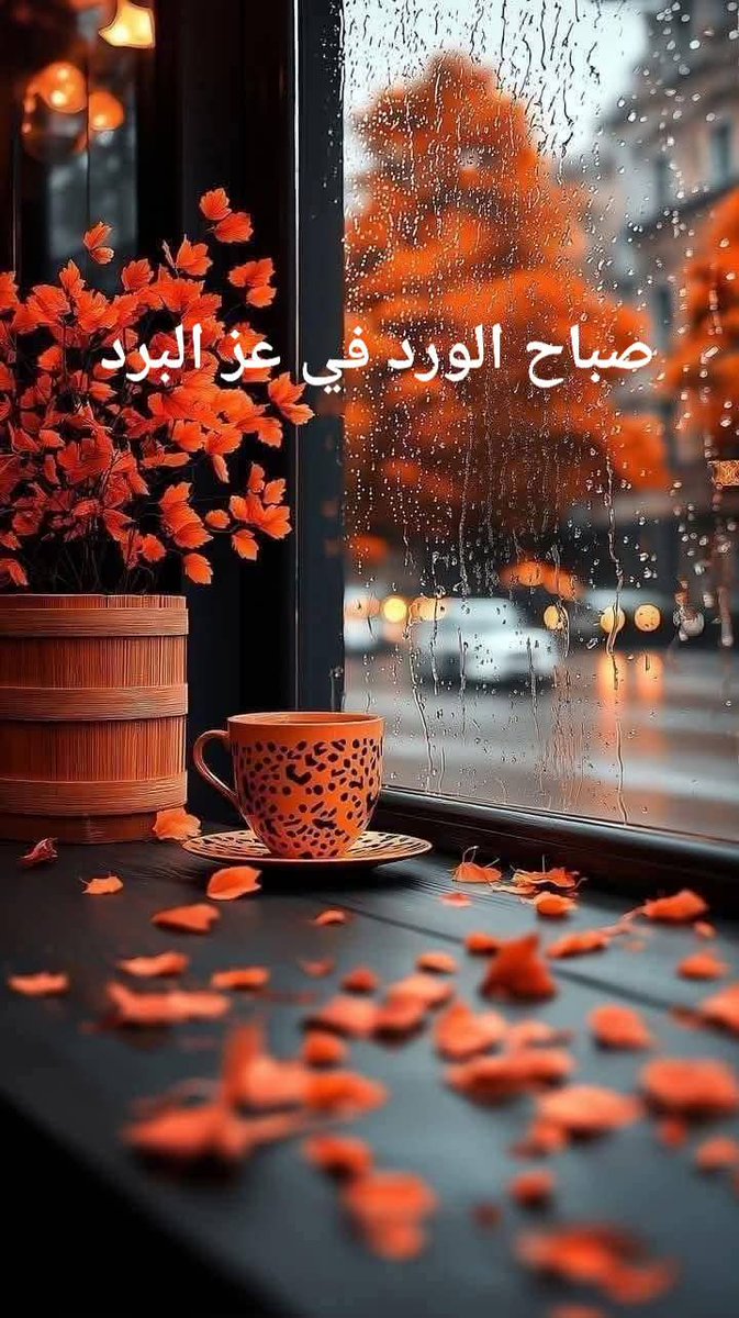 Georjass (@georjass55) on Twitter photo 