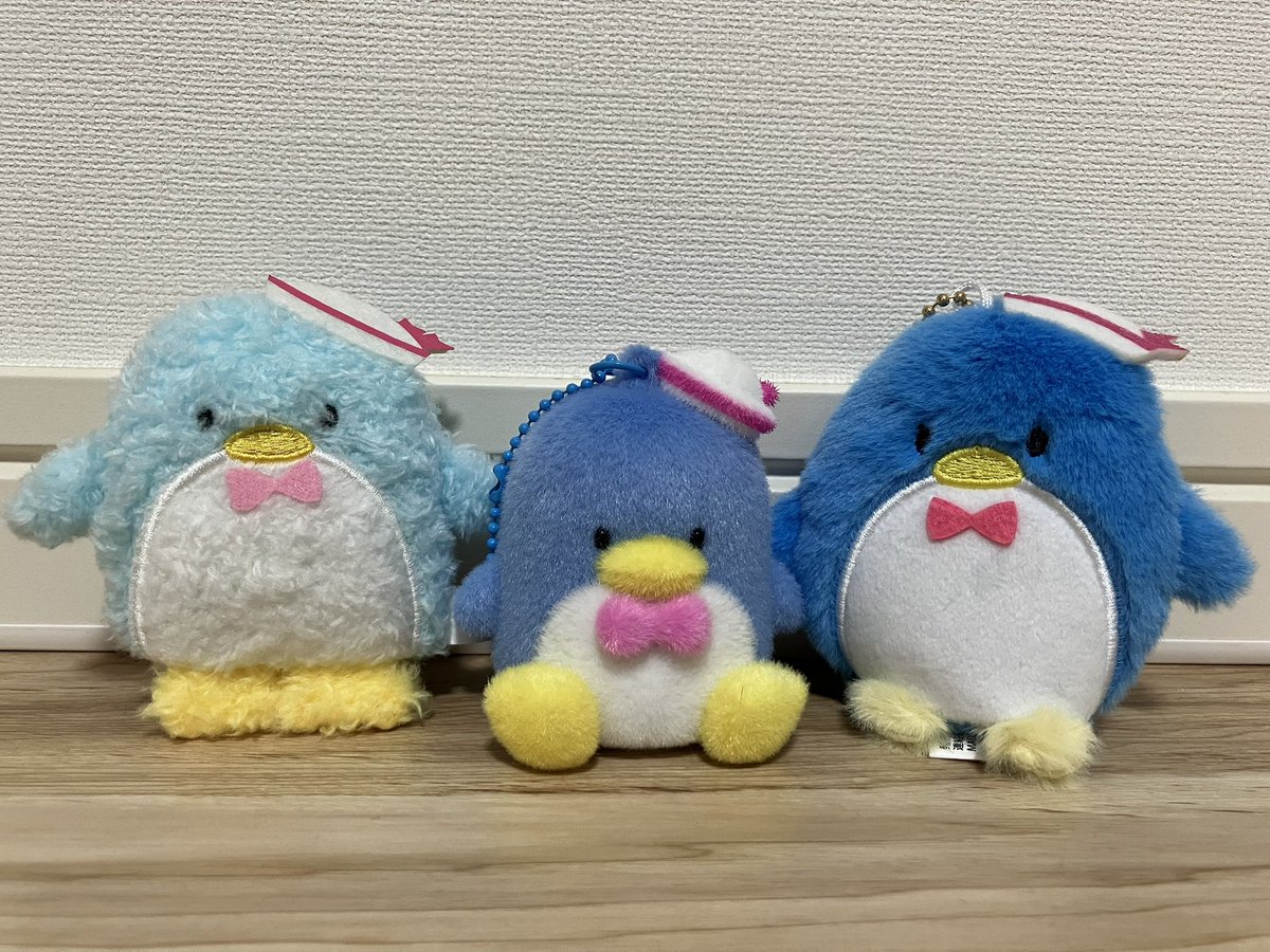 新しいサム先輩たちが仲間入り🐧
みんなふわふわでかわいい🩵

#サンリオ 
#サンリオキャラクターズ 
#タキシードサム
#むにゅぐるみパティオ 
#フロッキーマスコット