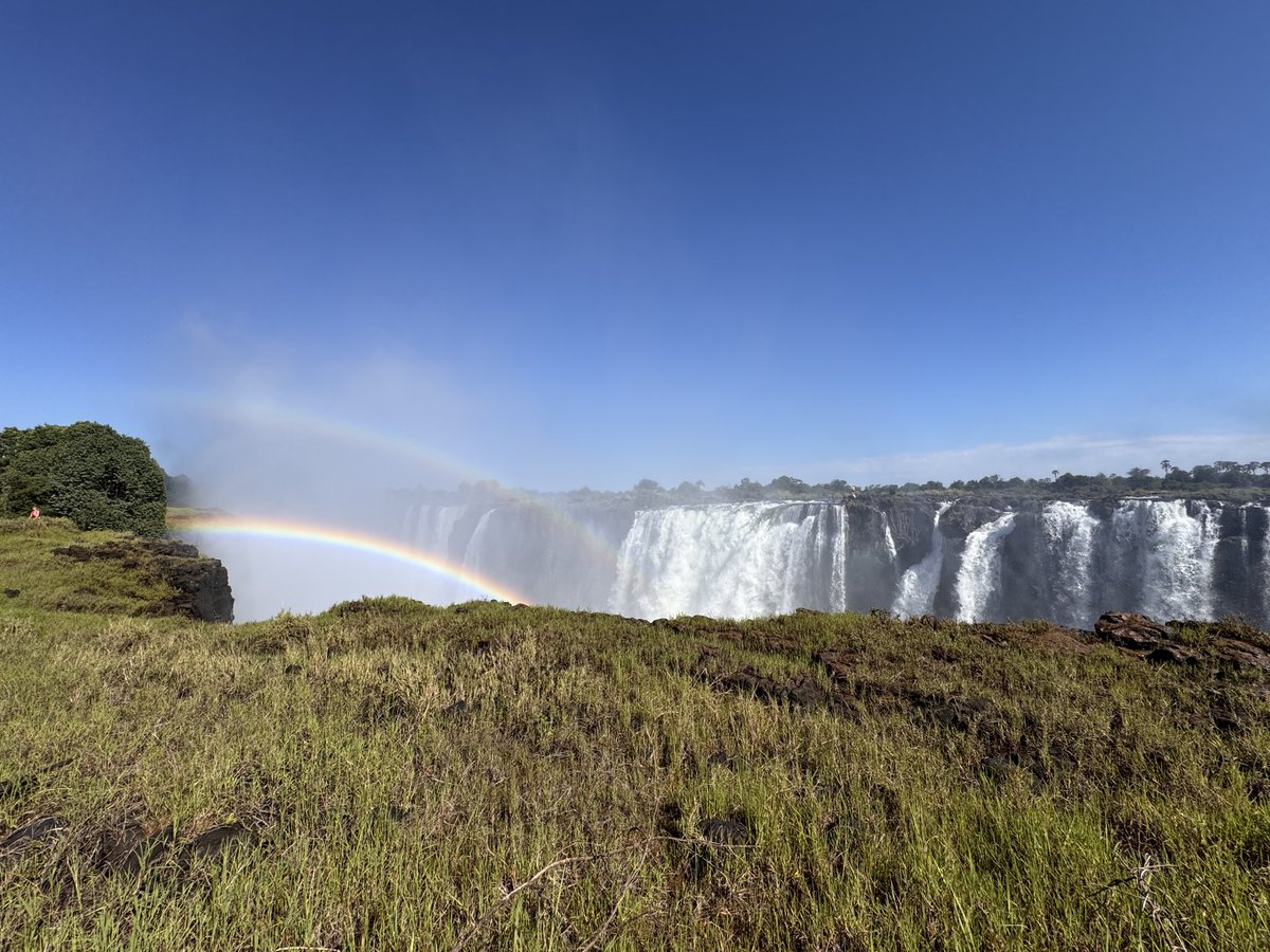 Photo Safari Company tweet media