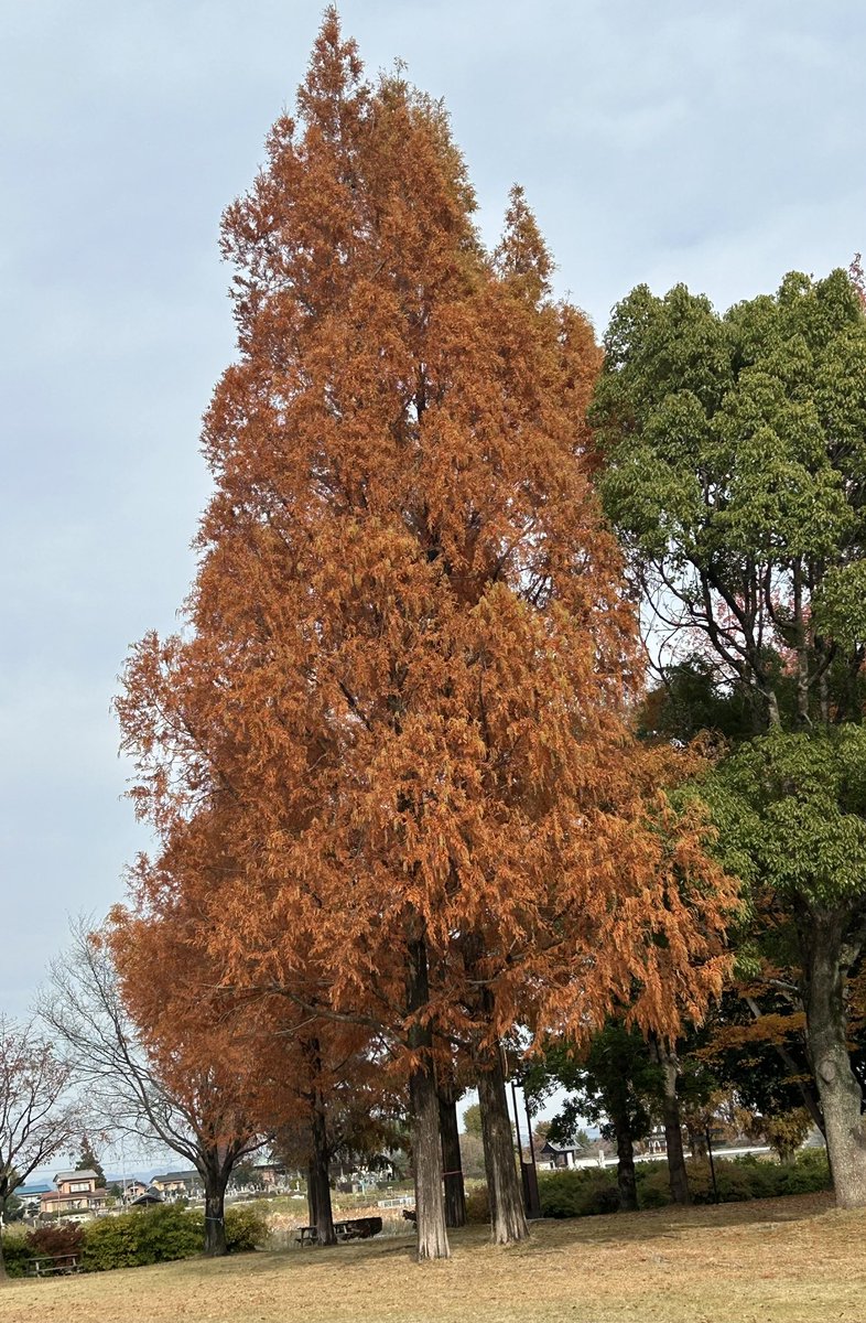 二日月 (@namigakumoon) / Posts / X