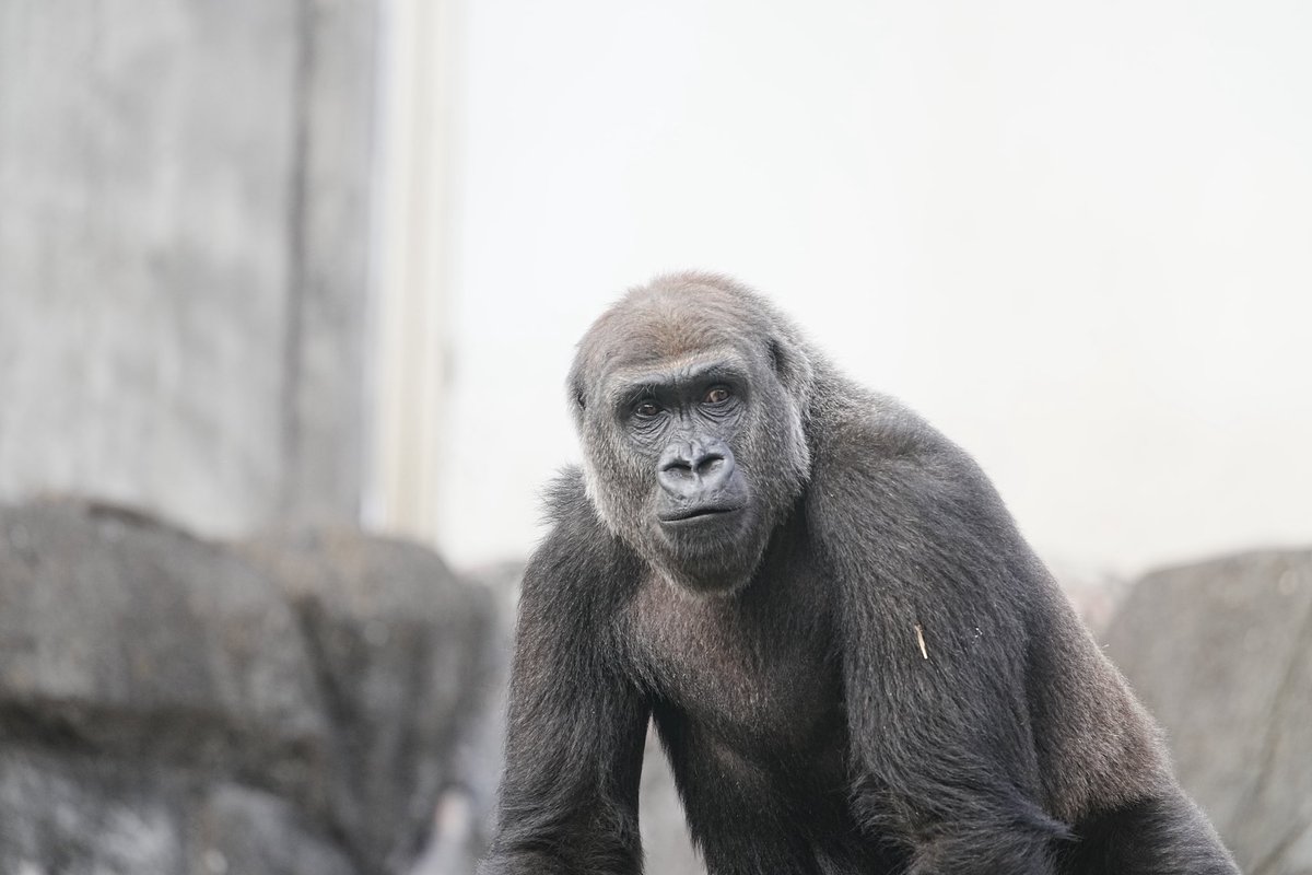 Miki (@mickey44mickey) / Posts / X