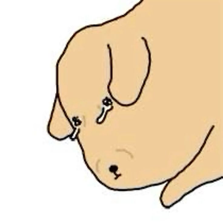 Ofkenzai's tweet image. น้อยจัยเมียว่ะ