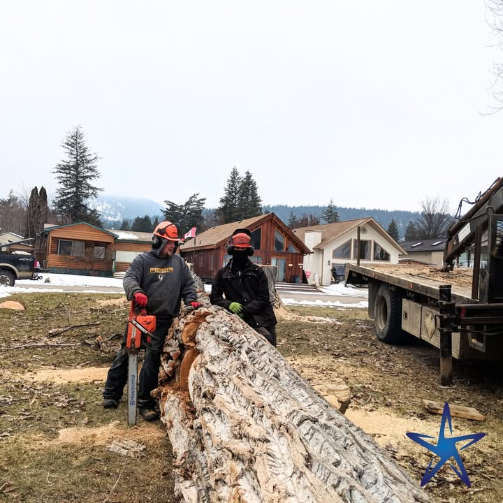 silverstartree's tweet image. Precision. Power. Teamwork. 💪
Our crew makes light work of even the biggest logs, safely and efficiently, no matter the season.

silverstartree.com

#TreeWork #LoggingCrew #ChainsawPros #SilverStarTreeCare #WinterWork #TreeService