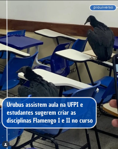 GifsFla's tweet photo. Tetra e disciplinados https://t.co/dLfIhYJmvW