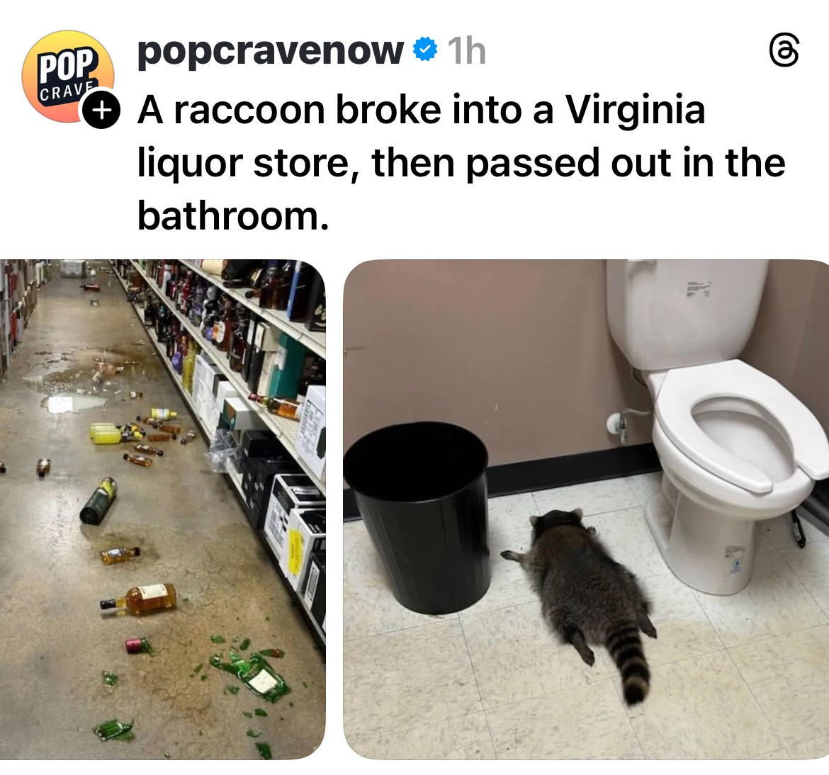 My latest rare appearance is just to point out how bad things have gotten for <a href="/mets_coon/">Mets Raccoon</a>. 

I do hope you’re all doing better than him!