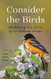 SusanMWatkins7's tweet photo. How did feathers &amp; a tweet mend a child’s broken 💔? Answering a little one’s prayers in a difficult season delivered Snowflake the parakeet. In Consider the Birds-discover their journey in my story, "Taught to Soar".🙏💕#God #Pray #besties #blessed #love https://t.co/zz9KyJY2kJ https://t.co/srQCzQZd31