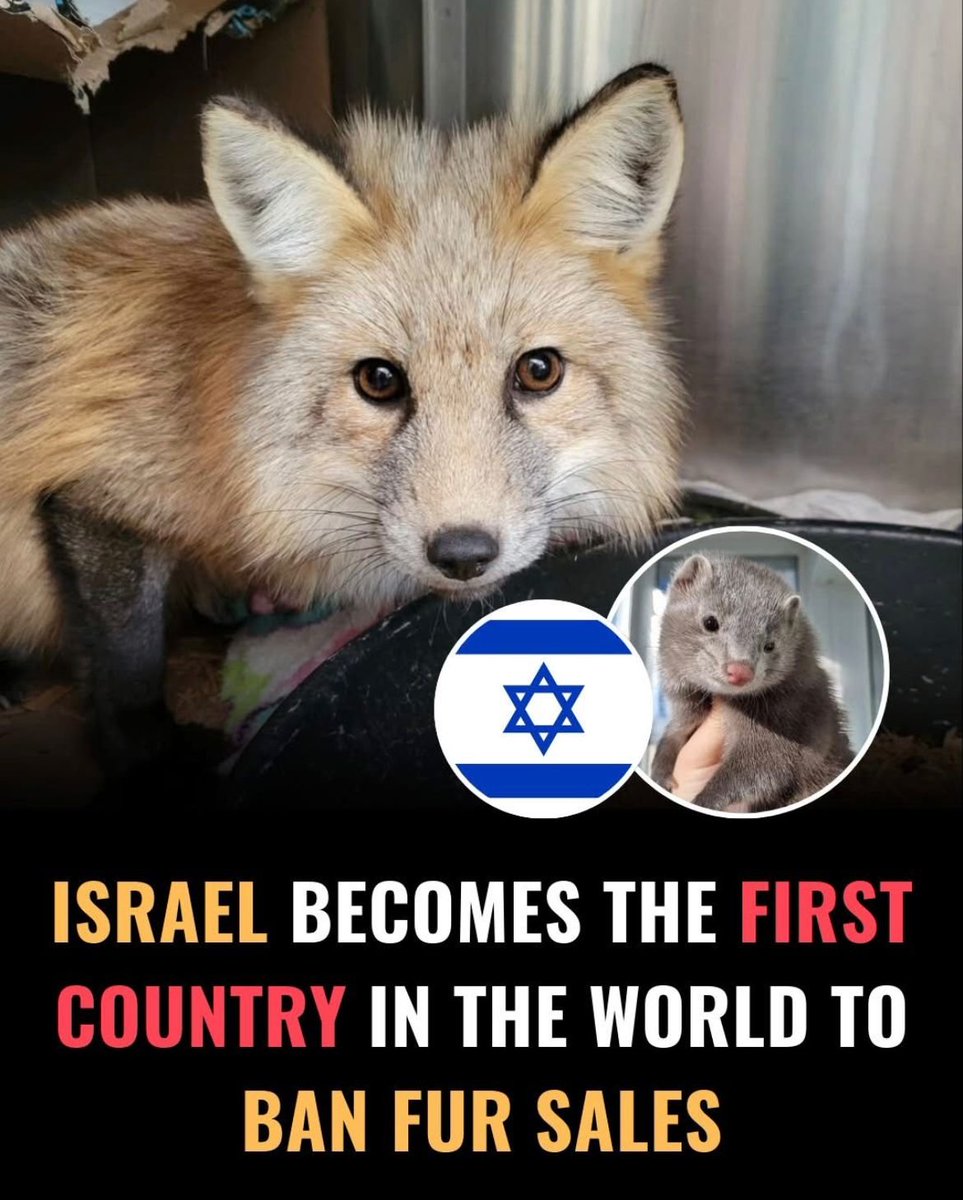A kinder world starts with respect for every life.

God bless Israel.