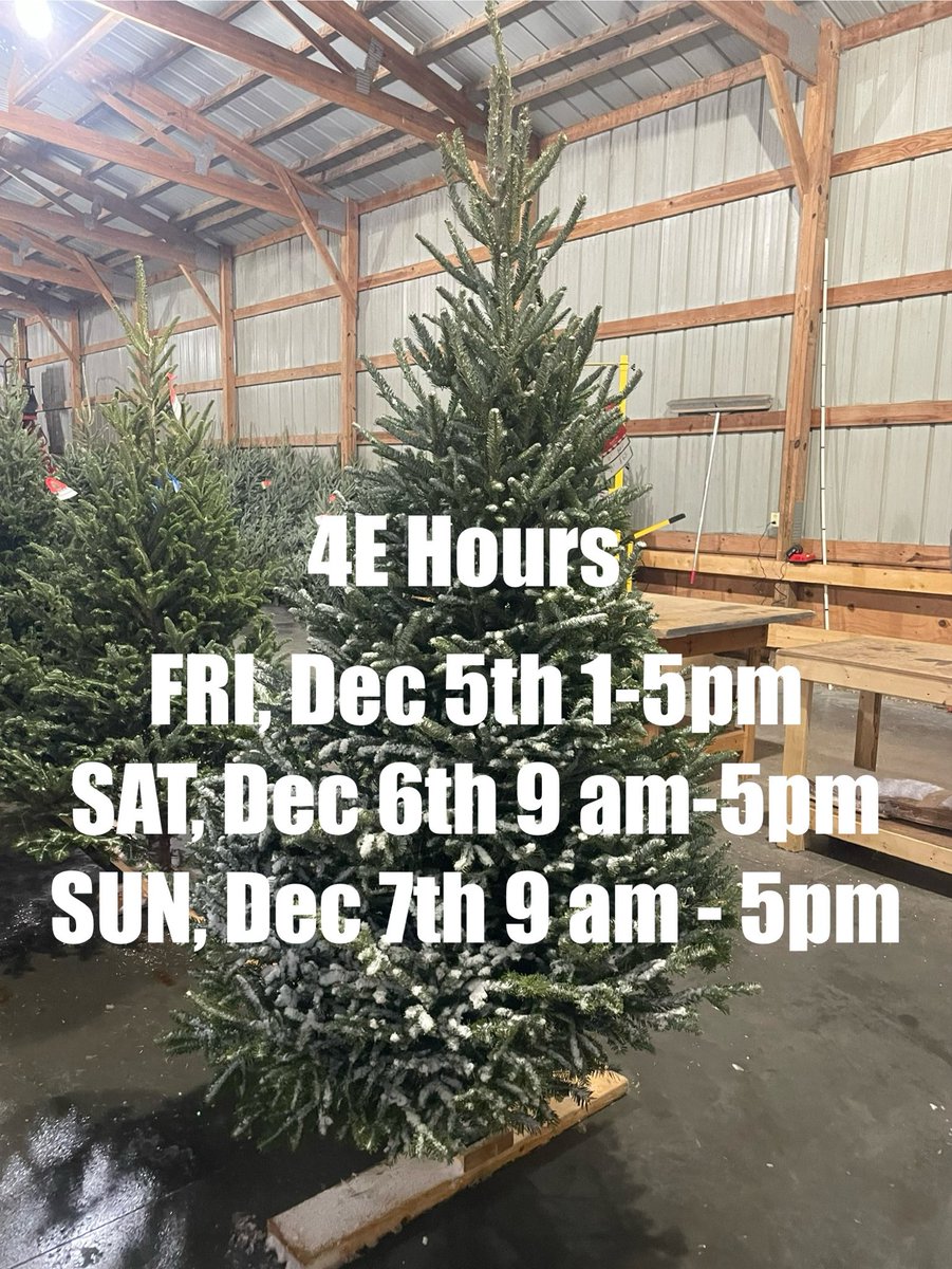 4EvergreenTree's tweet image. Hours for the first week of December