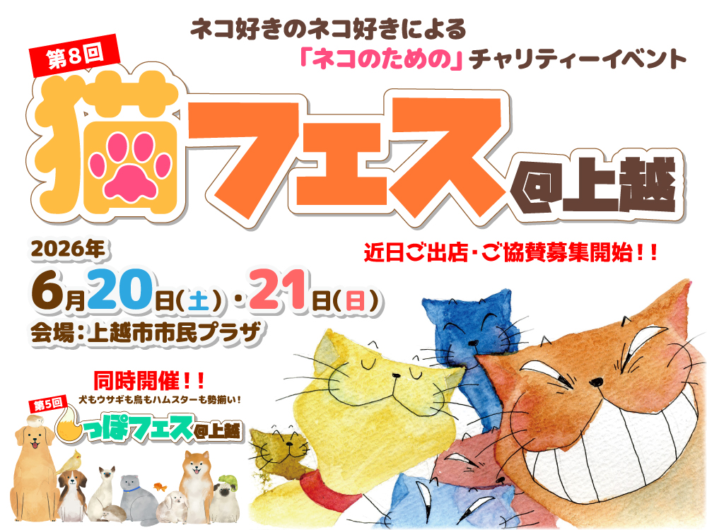 ねこ(12/20まで) ニャンとまちがいさがしファミリーマート 本 ねこ 猫 ネコ癒し 認知症